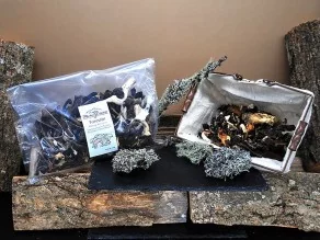 Garnitures forestière 250 g