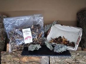 cèpes déshydratés 250 g