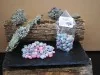 Bonbons Saveurs des prairies Bonbons Saveurs des prairies