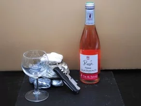 Rosé 12 x 37.5cl Domaine CARREL Médaille Bronze Paris 2017
