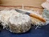 tomette de chèvre tomette de chèvre