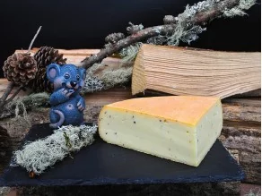 Vente fromages Raclette 4 personnes 220V - Annecy Haute Savoie