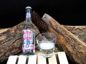 Bliz hard Seltzer bio Fraise basilic