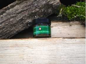 Pesto à l'ortie et à l'Ail des Ours sauvage