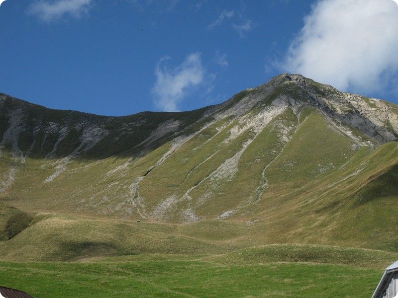 alpage et reblochon fermier