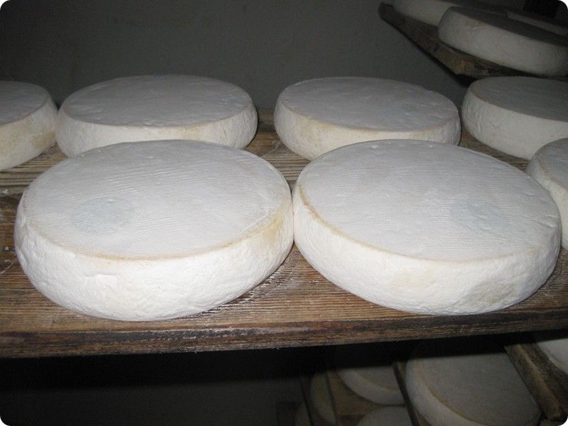 reblochon fermier