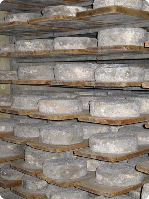 La Tomme de Savoie au four